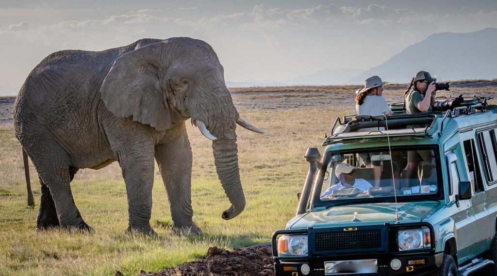 Guide-Game-Drives-in-Uganda