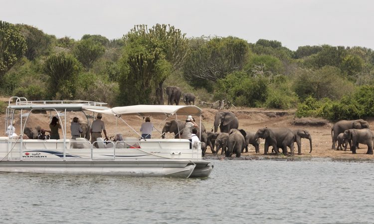 Launch-cruise-kazinga-channel