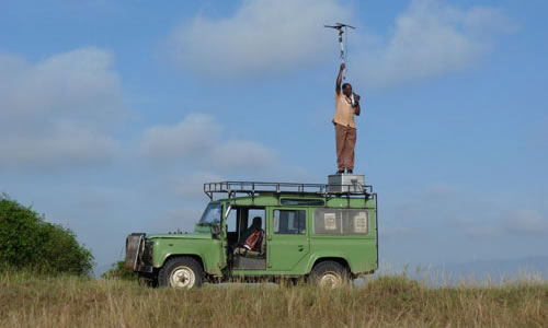lion-tracking-in-queen-elizabeth-national-park-uganda