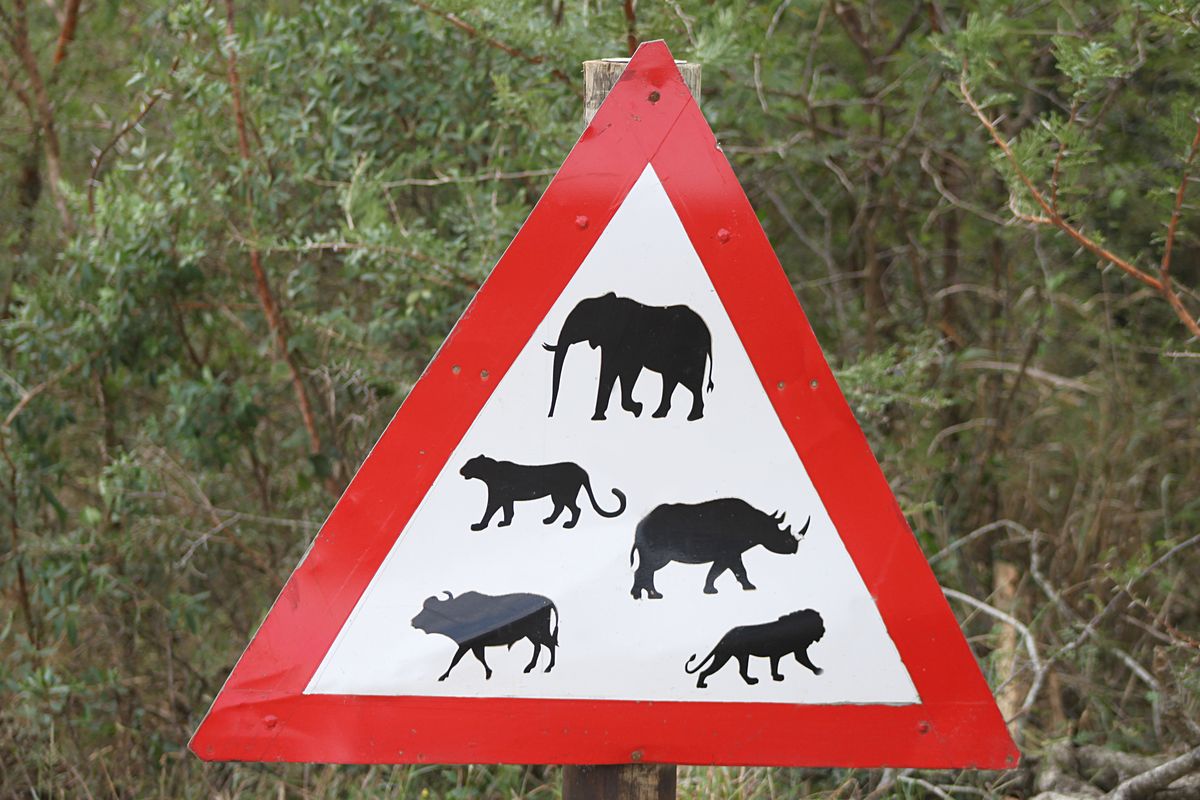 Driving in Uganda: Understanding Insurance, traffic fines and everything